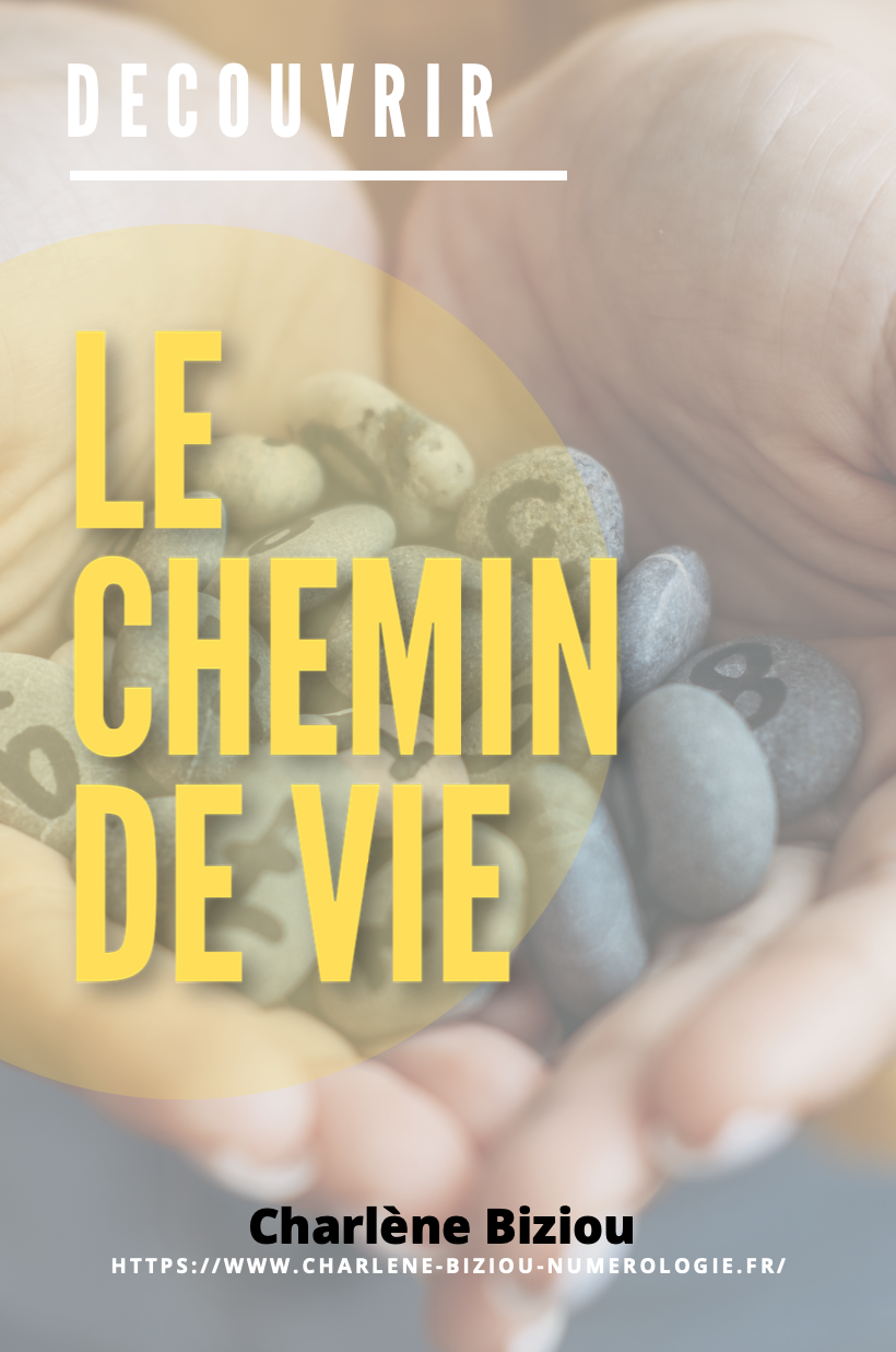 Le chemin de vie - Charlène Biziou